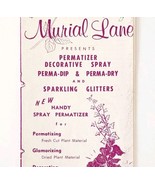 1970s Murial Lane Advertisement Decorative Spray For Plants Crafts Broch... - $34.17 CAD