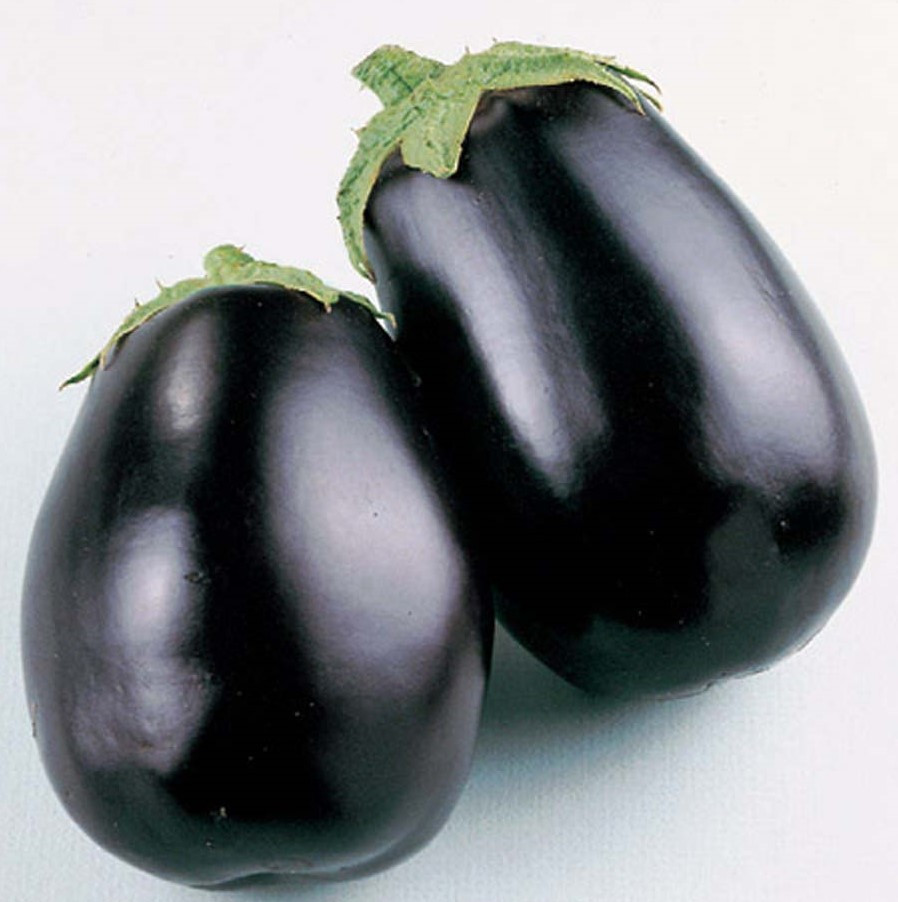 1/2 Oz Eggplant Seed Black Beauty Bulk Seed Oriental Eggplant 3000Ct New... - $25.48