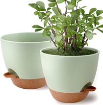 Planters With Drainage Holes Saucer Reservoirs, Indoor, Pack, Green Brown - $37.97