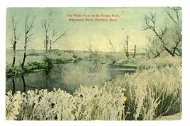 The White Frost On The Golden Rods Housatonic River Pittsfield Mass Postcard - £9.95 GBP