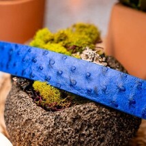 Domenico Genuine Exotic & Ostrich Belt Electric Blue image 5