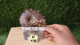 Item image 15