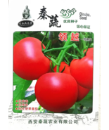 SEED &#39;Lingyue&#39; Pink Tomato Hybrid F1 - £23.89 GBP
