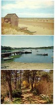 3 Postcards Cape Cod MA Chatham Scenic Pics Beach Mill Pond Rolf Sylvan Unposted - £2.93 GBP