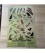 Australian Common Garden Birds 1988 by Goulde League Laminated Print - €21,66 EUR