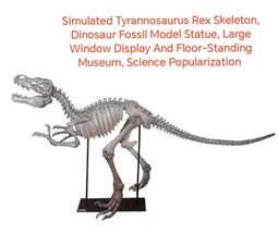 Simulated Tyrannosaurus Rex Skeleton, Dinosaur Fossil Model Statue - C - $1,572.00