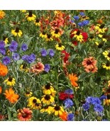 WILDFLOWER SEED MIX , ASSORMENT OF PERENNIAL &amp; ANNUAL , 4 OUNCE PACKAGE - £7.90 GBP