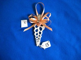 Seashell Ornament - Cut Tibia - $12.50
