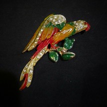 Vintage PARROT MACAW Brooch Pin Rhinestone Paint 3 1/8&quot; 3 Dimensional Tropical - £15.73 GBP