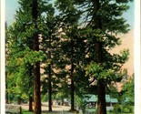 Vtg Postcard 1934  Lake Tahoe California CA - Lakeside Park - Heis &amp; Sut... - £13.97 GBP