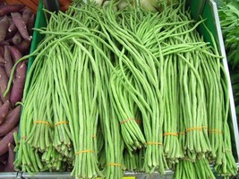 20 Yard Long Green Bean Asparagus Beans Chinese Long Beans Seeds Non Gmo Fresh G - £7.59 GBP