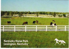 Kentucky Postcard Lexington Kentucky Horse Park Horses Grazing In Field - £1.64 GBP