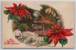 California Winter Scene Christmas Greeting Poinsettias Flowers CA Postcard D50 - $5.95