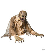 Gaseous zombie animated fog - €107,88 EUR