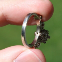 Item image 15