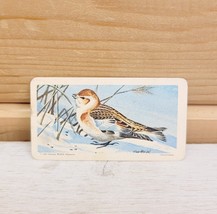 Red Rose Tea Mini Trade Card 2&quot; x 1&quot; Vintage 1966 S9N48 Snow Bunting Birds - $366.80 MXN