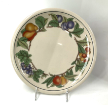 Set of 6 Wholesome By EPOCH Stoneware Fruit Leaves 10 1/2&quot; Dinner Plates... - £130.57 GBP