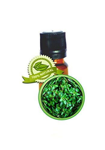 Thyme Essential Oil - 10ml (1/3oz) -100% PURE Thymus Vulgaris