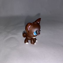 lps figure chihuahua authentic dark brown puppy dog - £16.87 GBP