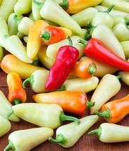 Vpf Sante Fe Grande Hot Pepper Seeds 25+ Vegetable NON-GMO Heirloom - £2.03 GBP