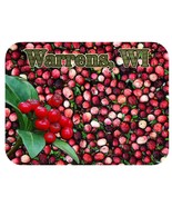 Warrens Wisconsin Cranberry Marsh Fridge Magnet - £6.38 GBP