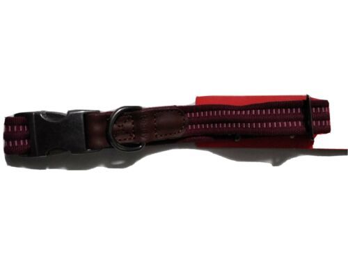 Reddy Burgundy Webbed Dog Collar Medium