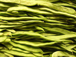50 pcs Romano Bush Bean Italian Flat Green Pod Phaseolus Vulgaris Vegetable Seed - £7.07 GBP