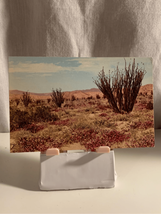Vintage Desert Verbena/Ocotillo UnPosted Postcard-PlastiChrome-Petley Studios - £7.78 GBP