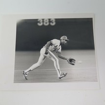 Photo Ozzie Smith St. Louis Cardinals Fielding Ground Ball Vintage 1980s  - £12.11 GBP