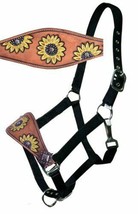 Western Saddle Horse Bronc Halter w/ Hand Painted Sunflower on Leather D... - £21.61 GBP