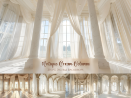 20 x Antique Cream Columns Frame Digital Studio Backdrops, Photoshop Ove... - $9.00