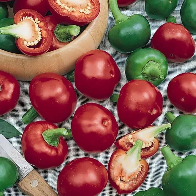 MBK 10 Red Cherry Hot Pepper Seeds Pimenta Non-Gmo Heirloom Organic Fres... - $8.79