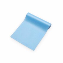 Light Blue Resistance Band - $22.94 CAD