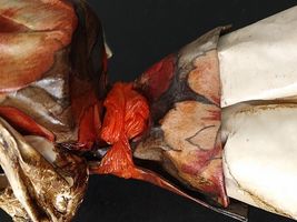 Item image 12
