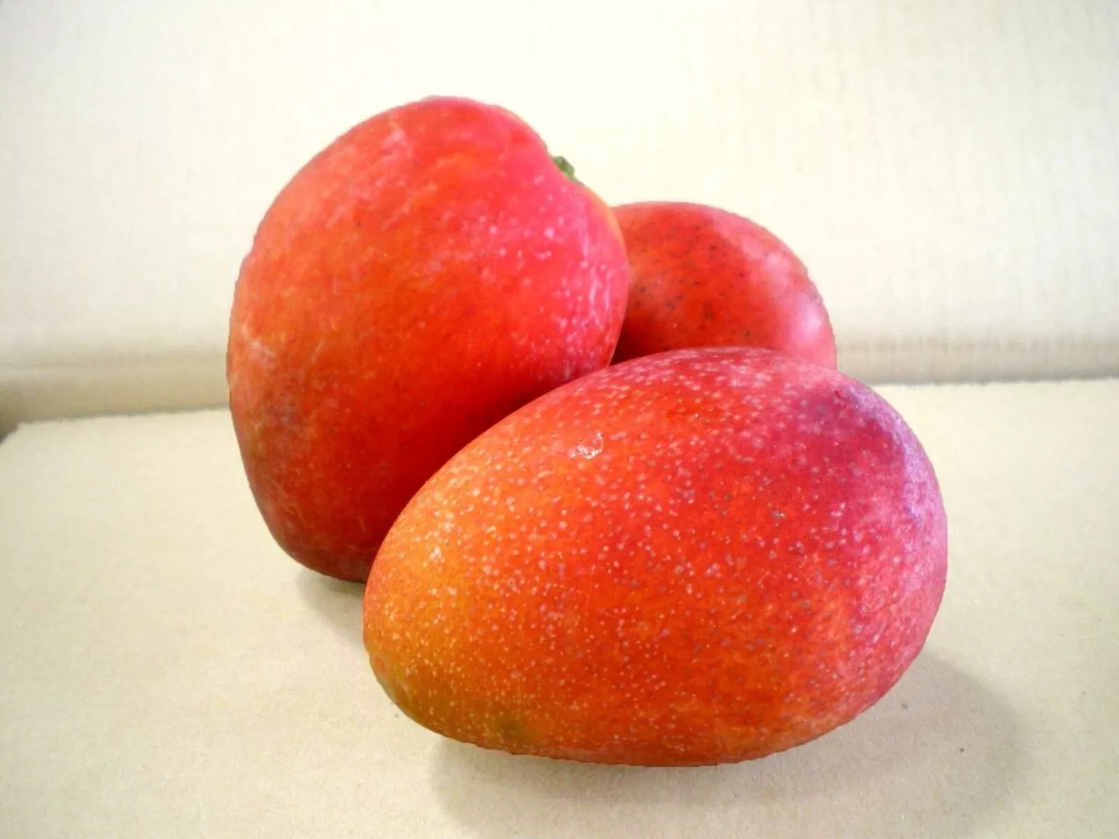 SKMO Irwin Mango Fresh Fruit 1 Seeds - $10.60