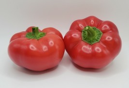 PS Right On Red Hungarian Cheese Sweet Peppers Seeds Super Crunchy Mini ... - $166.68 MXN