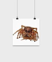 Azcatie Designs Spider Poster - Macro - 10 x 10 - £20.91 GBP