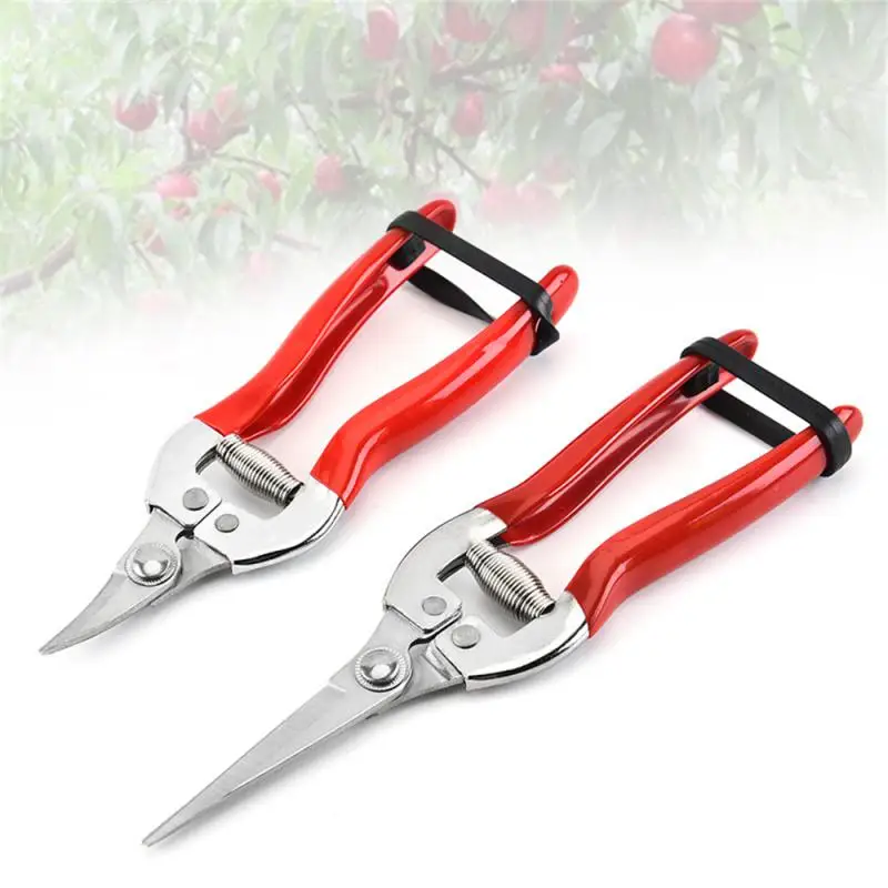 Stainless Steel Tree Pruning Garden Shears Gr Fruit Cutter Gardening Scissors nc - £44.39 GBP