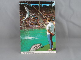 Vintage Postcard - Sea World High Jumping Dolphin - Continental Card - £11.95 GBP