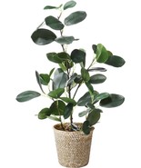 Sarosora Artificial Ficus Tree Fake Plants In Weaved Pot 20&quot; Height, Gre... - £28.01 GBP