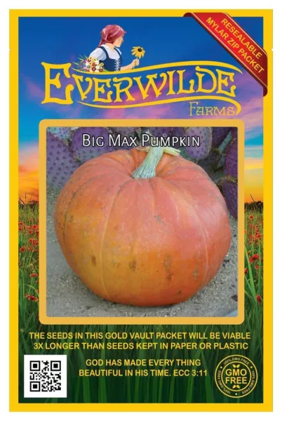 30 Big Max Pumpkin Seeds Farms Mylar Seed Packet Fresh Garden - £6.77 GBP