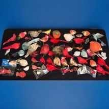 Lot Of Various Birds For Crafts  - Over  40 Items -READ Description - $18.70