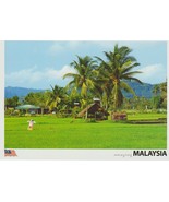 Paddy Fields in Malaysia : Rice Farming postcard - €4,36 EUR