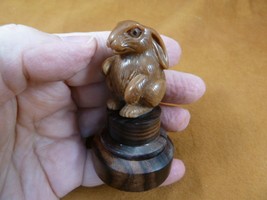 (tb-rab-3) little bunny foo foo Tagua NUT palm figurine Bali carving bab... - $42.77