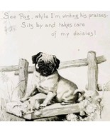 C1890 Pug Dog Puggy Lithograph Raphael Tuck Co Victorian Book Print E88F - $54.83 CAD