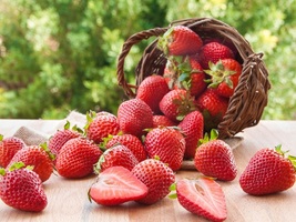  &#39;Medelet&#39; Series Red Strawberry, 5 Bags (200 Seeds / Bag) D - £16.01 GBP