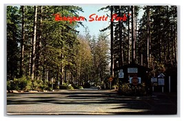 Honeyman State Park Florence Oregon OR UNP Chrome Postcard M20 - £3.58 GBP