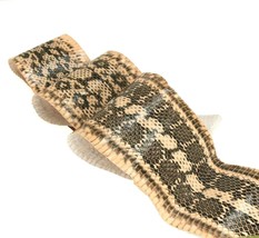 Snake Leather Elaphe Carinata Snakeskin Unbleached Antique Pink ETA 1wk - £11.63 GBP+