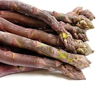 Purple Passion 10 Live Asparagus Bare Root Plants -2yr-Crowns from Hand ... - £15.68 GBP