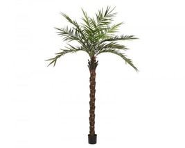 Europalms Kentia Palm Deluxe, Artificial Plant 300cm - £372.16 GBP